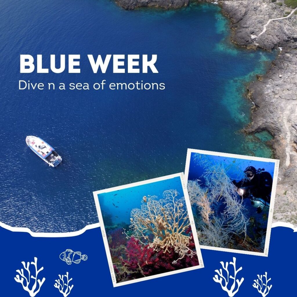 blue-week-argentario-divers