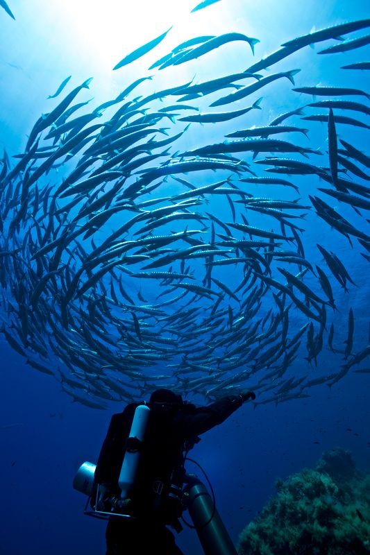 diving toscana