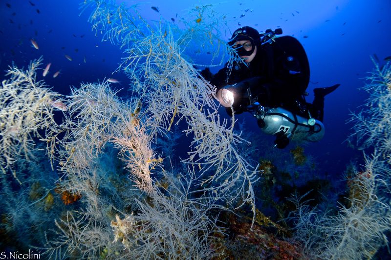 diving toscana